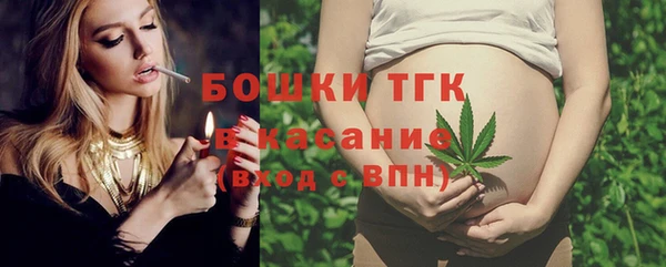 молекула духа Нягань