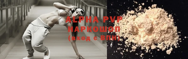эйфоретик Няндома