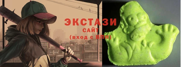 эйфоретик Няндома