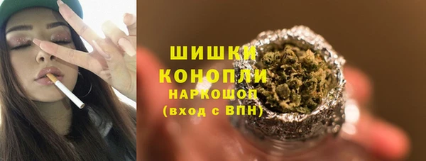эйфоретик Няндома