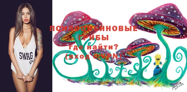 молекула духа Нягань