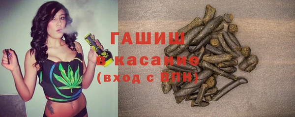эйфоретик Няндома