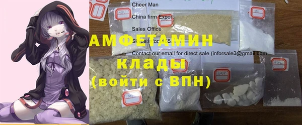 эйфоретик Няндома