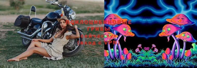 купить наркотики сайты  Советский  Псилоцибиновые грибы MAGIC MUSHROOMS 